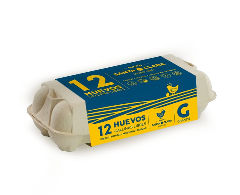 Pack 15 Estuches 12 Huevos Grandes